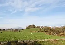 The Crown Mound in Sheeptown