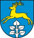 Coat of arms of Braunschwende