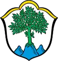 Coat of arms of Aschau im Chiemgau