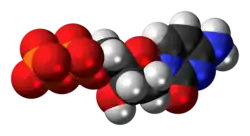 Space-filling model of the deoxycytidine diphosphate molecule as an anion (3- charge)
