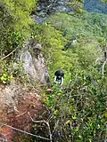 Steep descent via a series of metal ladders at Gunung Tangga Lima Belas