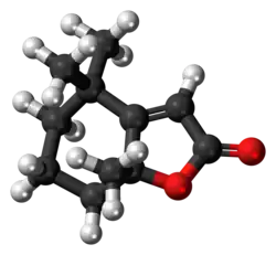 Ball-and-stick model of the dihydroactinidiolide molecule