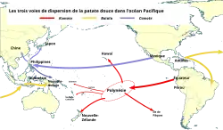 World map showing the spread of sweet potatoes