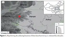 Map showing the distribution of Rana luanchuanensis