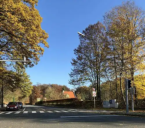 Junction of the Chaussée de Waterloo/Waterloosesteenweg and the Drève Saint-Hubert/Sint-Hubertusdreef in the Sonian Forest, near the border with Sint-Genesius-Rode.