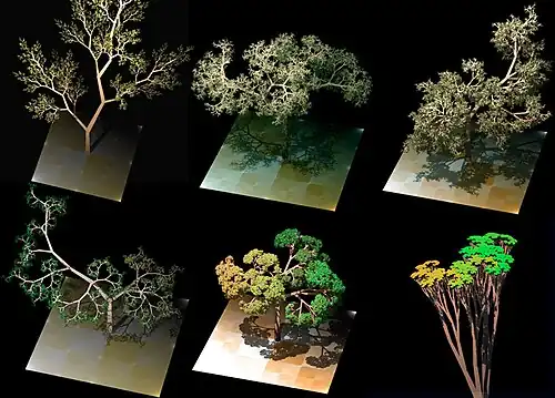 The growth patterns of certain trees resemble these Lindenmayer system fractals.