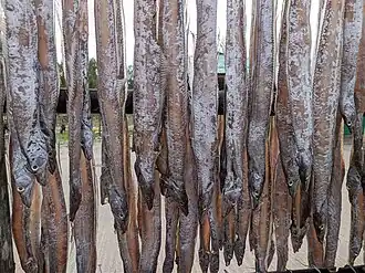 Drying at Cox's Bazar, Bangladesh