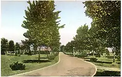 Curved tree-lined driveway
