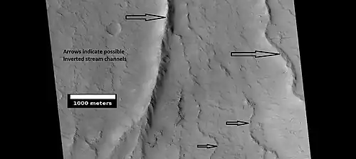 Possible inverted stream channels in Phlegra Dorsa region, as seen by HiRISE under HiWish program. The ridges were probably once stream valleys that have become full of sediment and cemented. So, they became hardened against erosion which removed surrounding material.