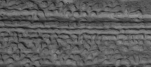 Close view of lineated valley fill (LVF) in valley, as seen by HiRISE under HiWish program. Linear valley flow is ice covered by debris.