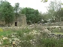 The mosque for Shaykh Ahmad al-Umari