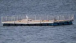 Floating platform in Germany that provides artificial breeding space