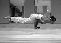 Eka Pada Koundinyasana II (upper leg on arm)