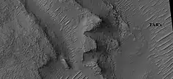Layers in depression in crater, as seen by HiRISE under HiWish program A special type of sand ripple called Transverse aeolian ridges, TAR's are visible and labeled.