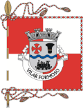 Flag of Vilar Formoso