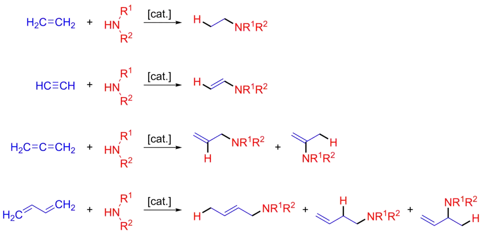 Prototypical intermolecular hydroamination reactions.