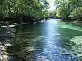 Stream from the springs feeding the Suwannee River