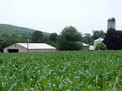 Farm on Valley Road in Walker Township