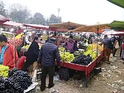 Farmers' Market in Chandigarh, India