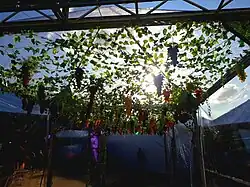 Festa da Uva decoration.