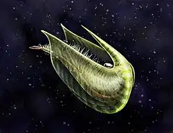 Only 2 cm-long Fibulacaris is suggested to have swum upside down