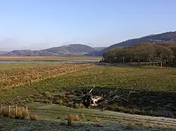 Domen Las Motte, covered in trees on the right