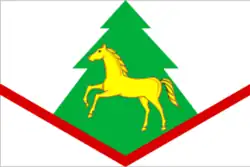 Flag of Brasovsky District