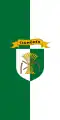 Flag of Csömödér