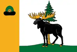 Flag of Yermishinsky District