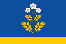 Flag of Falyonsky District