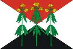 Flag of Kimovsky District