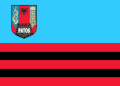 Flag of Patos