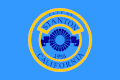 Flag of Stanton, California