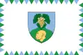 Flag of Vértesszőlős