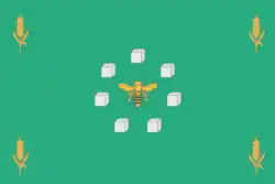 Flag of Znamensky District