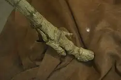 Fossil of three-toed Hipparion lower hind leg, held up on a stand and against a brown cloth background