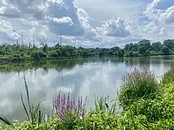 Restored wetlands and living shoreline along lower Four Mile Run in 2025