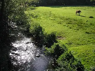 The Sonce&nbsp;[fr] river in Saint-Georges-de-Rouelley