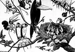 "He saw a concourse of curious birds".