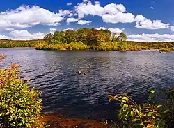 A sunny lake with an island and shore covered in autumnal foliage under a blue sky with some clouds