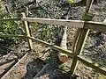 Repaired rail on mound above birch felled by Storm Eunice