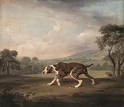 The Pointer (ca. 1766), oil on canvas, 61 x 70&nbsp;cm., Neue Pinakothek