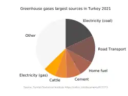 Chart showing the top sources of greenhouse gases are, in order: coal-fired electricity, road transport, home fuel, cement, cattle and gas-fired electricity