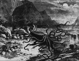 #42 (24/9/1877) The "nearly perfect specimen" that was beached alive in Catalina, Trinity Bay, Newfoundland, on 24 September 1877, from the 27 October 1877 issue of Canadian Illustrated News ([Anon.], 1877a:269, fig.)