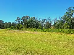 Riparian bushland around Prospect Creek