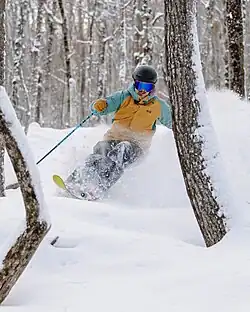 A skier moves quickly through a wooded glade at Mt. Abram, kicking up fresh powder. Snow-covered trees surround the skier on all sides.