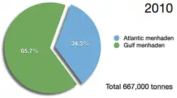 Capture of menhaden in 2010 reported by the FAO[19]