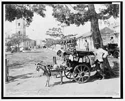 Goat wagon peddler, late 19th century