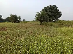 Gopikandar Rural places