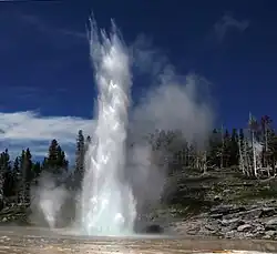Grand Geyser. The small geyser on the left is Vent Geyser. 2008